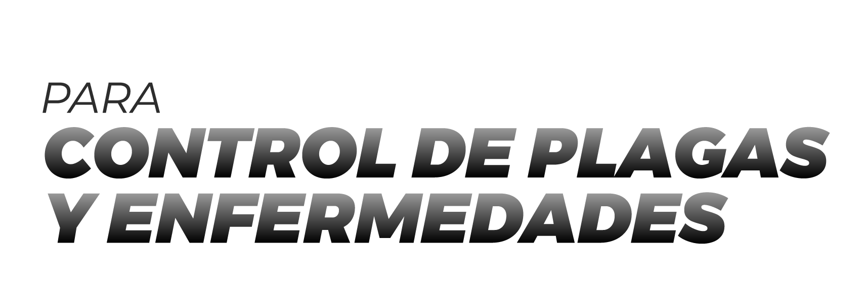 Logotipo de la empresa